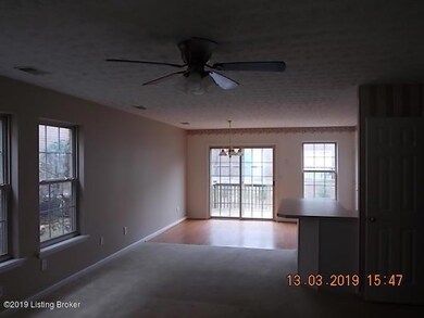 8344 Grand Trevi Dr unit 6703, Louisville, KY 40228 - photo 2