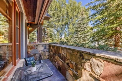 627 Sawatch Dr unit 108, Edwards, CO 81632 - photo 5