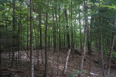 77 Austin Pond Rd, Johnsburg, NY 12853 - photo 2