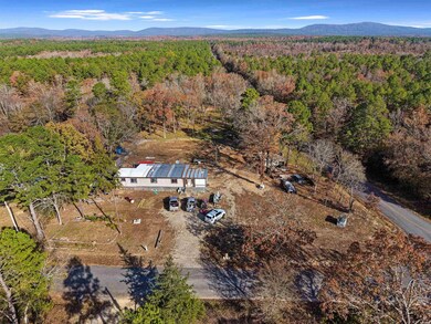 458 Union Hill Rd, Mount Ida, AR 71970 - photo 2