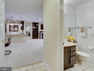 12006 Ridge Knoll Dr unit 503B, Fairfax, VA 22033 - photo 2
