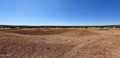 9182 Texas Ln, Show Low, AZ 85901 - photo 4