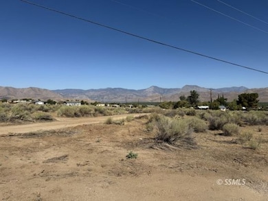 0 Vail Ln, Weldon, CA 93283 - photo 2