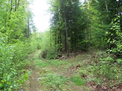 Lot 1A Spring Rd, Newfield, ME 04056 - photo 6