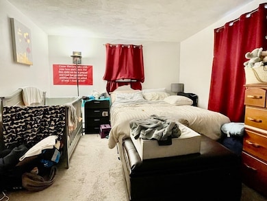 79 Central St unit 3, Waltham, MA 02453 - photo 5