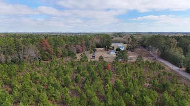 Cox Rd, Quincy, FL 32351 - photo 3