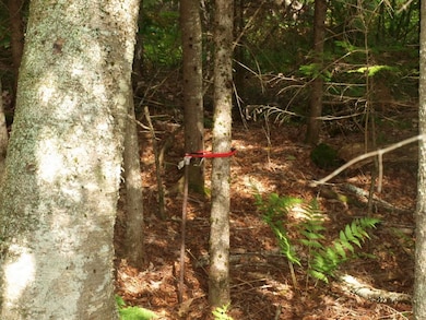 000 Partridge Lake Rd, Littleton, NH 03561 - photo 6