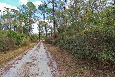 0 Honor Dr unit 315967, Crawfordville, FL 32327 - photo 2