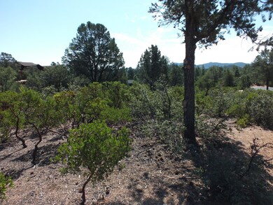 Level Topography