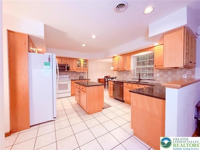 118 Sterner Run Rd, Kunkletown, PA 18058 - photo 4