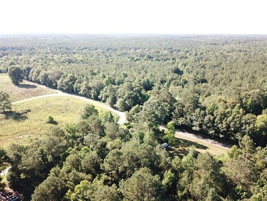 00 Mollie Boutwell Rd, Laurel, MS 39443 - photo 4