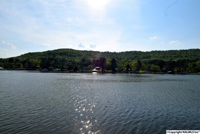 2002 White Elephant Rd, Grant, AL 35747 - photo 7