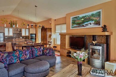 Wood stove and built-ins.