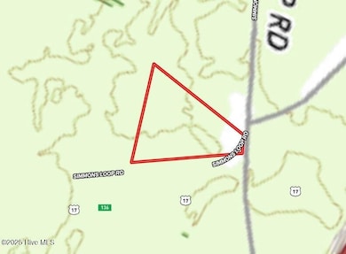 0 U S 17, New Bern, NC 28562 - photo 5