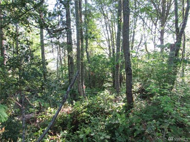 0 238th Ave E, Orting, WA 98360 - photo 7