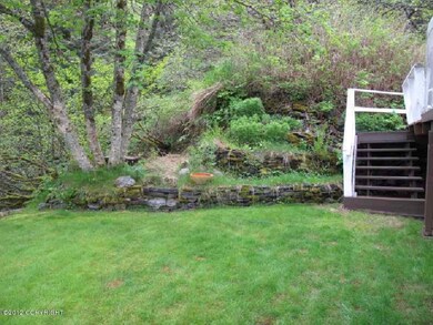 back yard