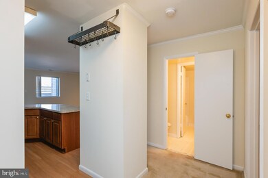 8101 Greenspring Way unit A, Owings Mills, MD 21117 - photo 4