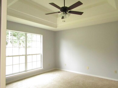 Double trey ceiling Master BR