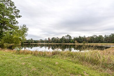 25373 Shoreline Rd, Hockley, TX 77447 - photo 2
