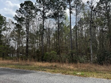 0 Crooked Rd unit 135721, Fitzgerald, GA 31750 - photo 3