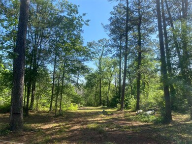 10705 Fm 1409 East Side, Dayton, TX 77535 - photo 5