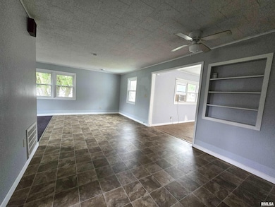 306 8th Ave S, Albany, IL 61230 - photo 5