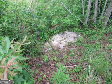 Septic Tank