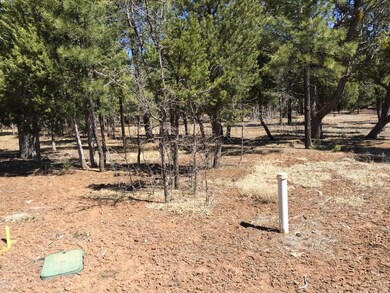 240 Cedar Breaks Ave unit 289, Show Low, AZ 85901 - photo 3