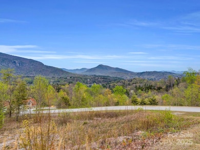 999 Clear Creek Trail unit 36, Lake Lure, NC 28746 - photo 4