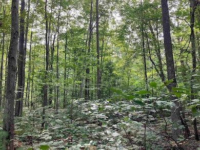 3642 Beech St, Beaverton, MI 48612 - photo 3