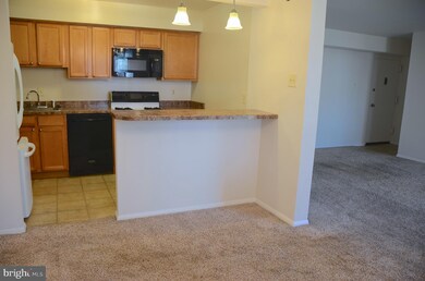 203 Victor Pkwy unit 2F, Annapolis, MD 21403 - photo 5