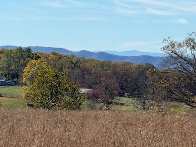 4242 Muddy Creek Mountain Rd, Alderson, WV 24910 - photo 3