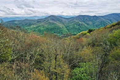 Drone photo taken above tree line looking out