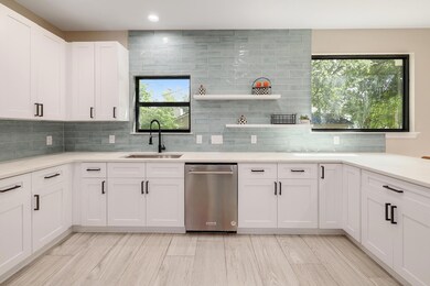 Kitchen with stainless steel dishwasher, decorati