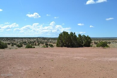 DSC_0861 (800x533)