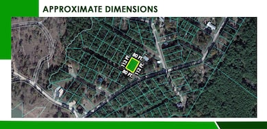 Moon Mist Dr, Trinity, TX 75862 - photo 6