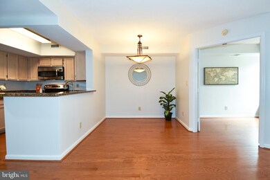 The Charleston unit 408, Arlington, VA 22201 - photo 4
