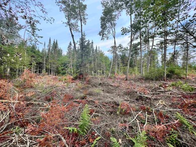 735 Route 102, Guildhall, VT 05905 - photo 3