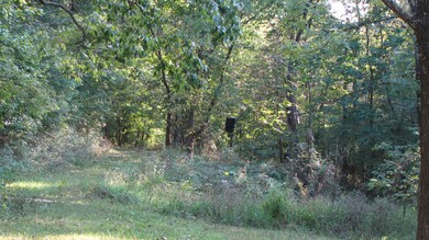 IMG_0015