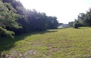 0 Redfish St unit 846020, Hudson, FL 34667 - photo 4