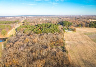 15319 Laminack Rd, Carterville, IL 62918 - photo 4