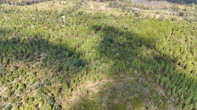 0 Douglas Ferry Rd unit 781383, Esto, FL 32425 - photo 6