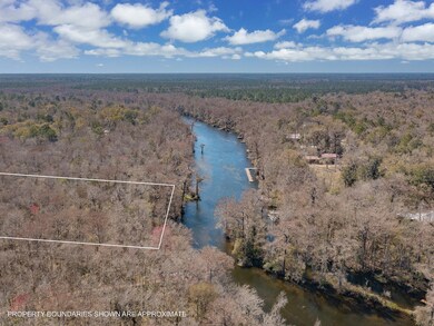 Lot 33 River Plantation Rd, Crawfordville, FL 32327 - photo 2