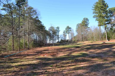 165 Settle Dr, Inman, SC 29349 - photo 6