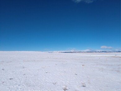 0 Raven Ln unit S1040890, Hartsel, CO 80449 - photo 7