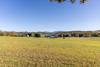 0 Red Clover Ln, Natural Bridge, VA 24578 - photo 7