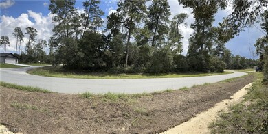 View from corner of road