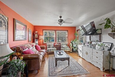 2208 Forest Ave, Durango, CO 81301 - photo 3