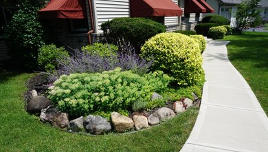 Updated Landscaping