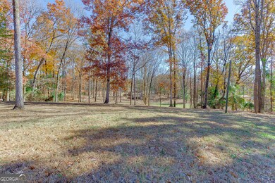 131 Canix Ln, Hoschton, GA 30548 - photo 7